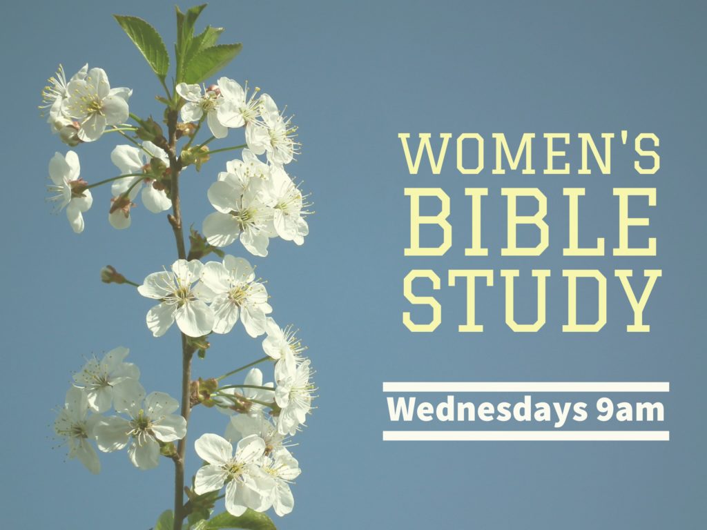 Women S Bible Study Amherst Christian Church   IMG 8969 1024x768 